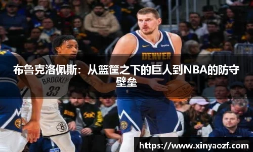 布鲁克洛佩斯：从篮筐之下的巨人到NBA的防守壁垒